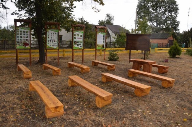 На Волині лісівники спільно з громадою облаштували дендропарк. ФОТО