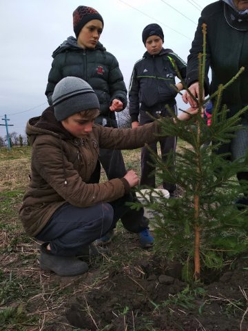 На Волині маленькі прихожани озеленили подвір'я церкви. ФОТО