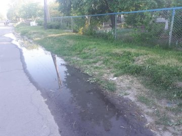 Чоловік зливав нечистоти на вулицю у Луцьку. ВІДЕО