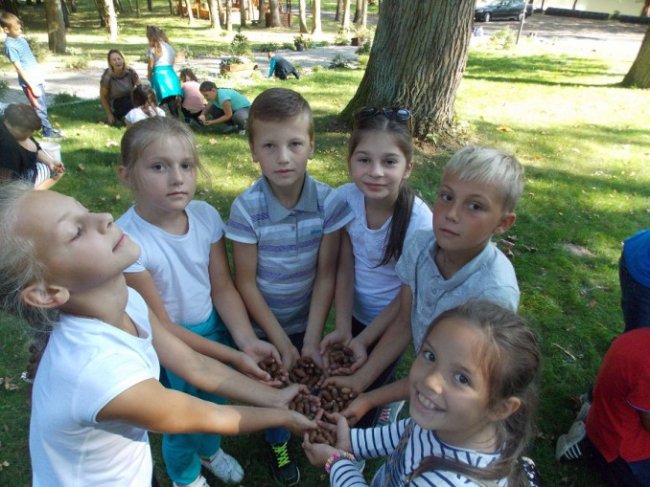 Дітлахи на Волині заготовляють жолуді древнього дуба. ФОТО
