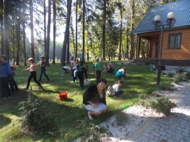 Дітлахи на Волині заготовляють жолуді древнього дуба. ФОТО