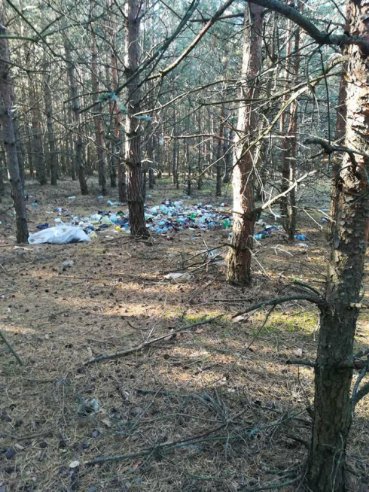 У лісі поблизу Шацька – купи сміття. ФОТО