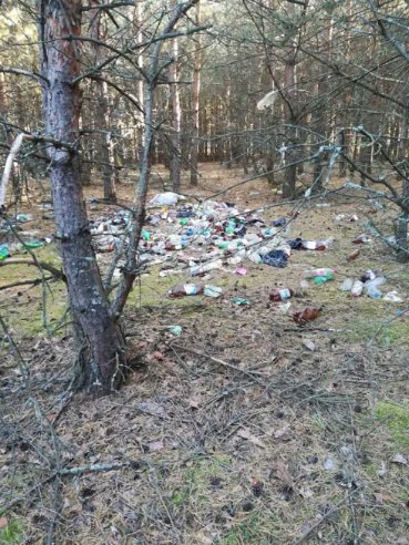 У лісі поблизу Шацька – купи сміття. ФОТО