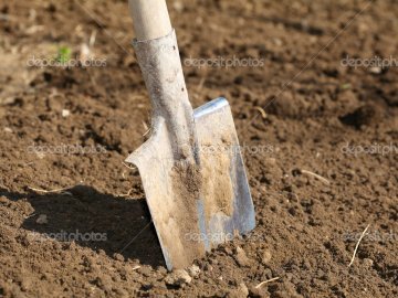 Розкрадання при реформі нажахали Гунчика