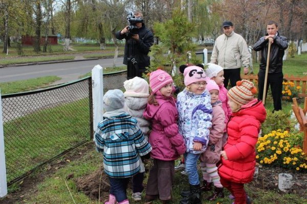 Мер Луцька вигадав, як озеленити місто