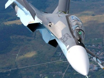 Російський винищувач у Сирії збила пташка