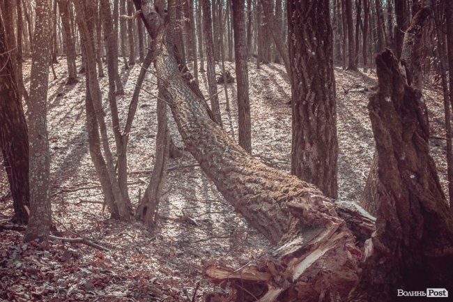 Перший день весни у «волинській Швейцарії». ФОТОРЕПОРТАЖ