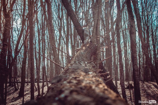 Перший день весни у «волинській Швейцарії». ФОТОРЕПОРТАЖ