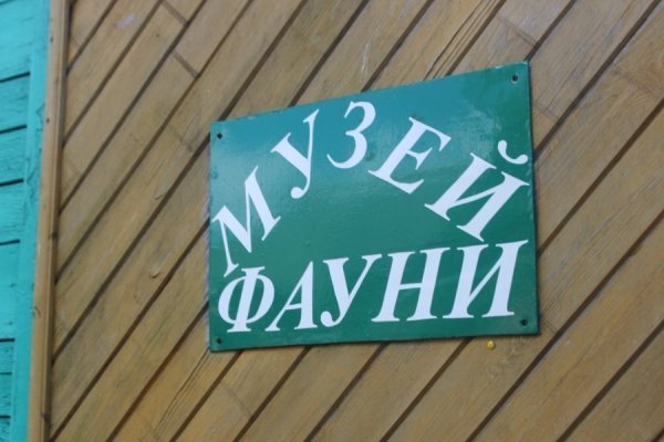 Льотчики Луцького аеродрому відпочили на Світязі. ФОТО