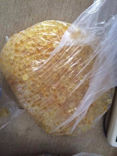 Ковельчанин хотів перевезти бурштину на мільйон гривень. ФОТО. ВІДЕО