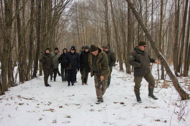 На Волині порахували зубрів. ФОТО