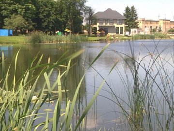 На двох пляжах Луцька перевірили якість води: які результати