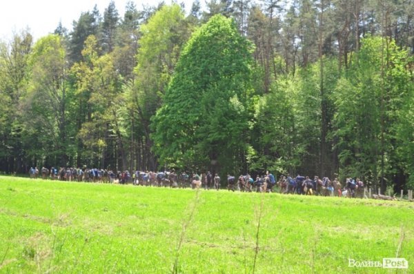 Дві сотні юнаків і дівчат «зникли» у волинських лісах на три дні. ФОТО. ВІДЕО