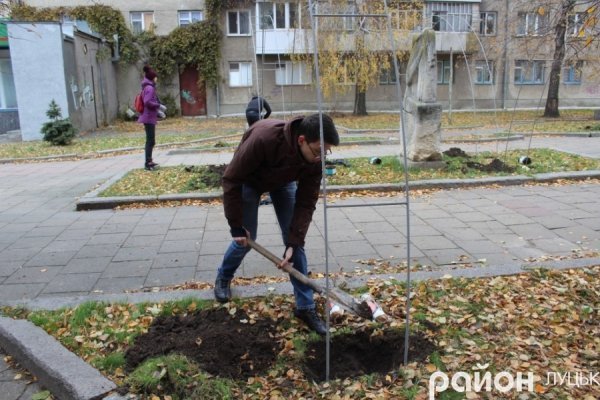 У Луцьку «вдихнули життя» в «Алею троянд»