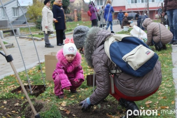У Луцьку «вдихнули життя» в «Алею троянд»
