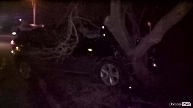 У Луцьку BMW в'їхало в дерево