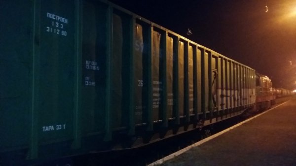 У вантажних вагонах з тирсою через кордон на Волині переправляли контрабандні сигарети. ФОТО. ВІДЕО