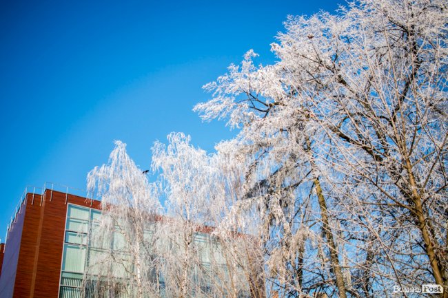 Луцьк – у кришталевій паморозі: казкові світлини різдвяного ранку. ФОТО