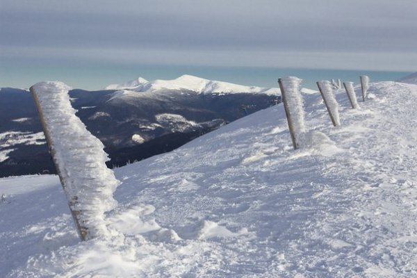 Автор - Тетяна Потапчук