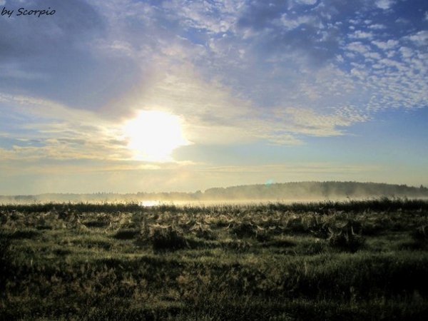 Автор - Тетяна Ковальська