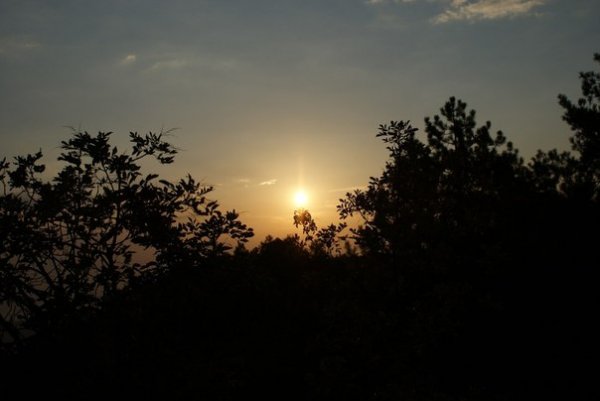 Автор - Мосійчук Сергій