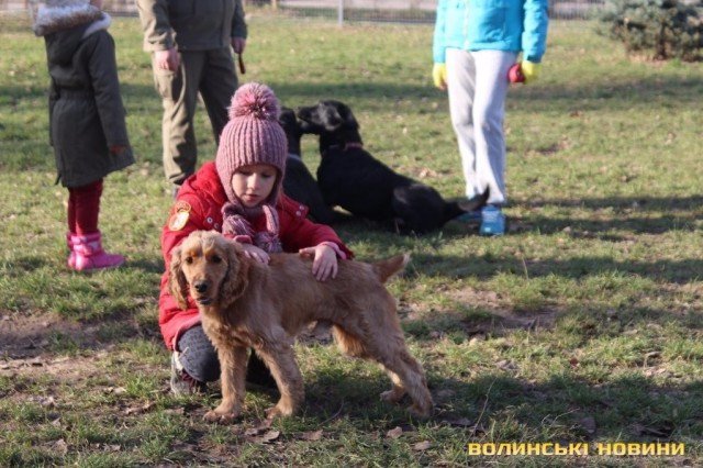Свято моди та сирниковий рекорд. Добрі новини Волині