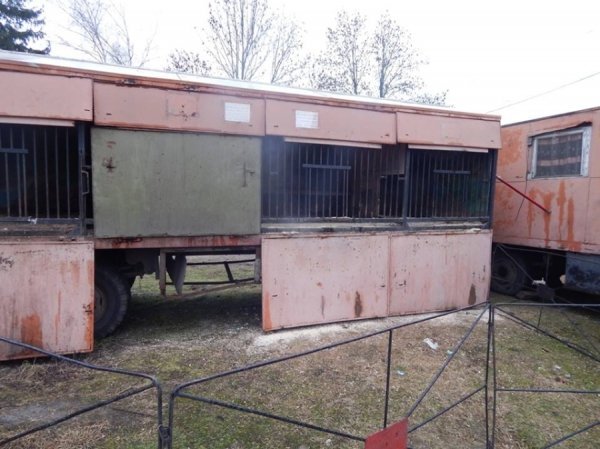 Ведмедів з пересувного звіринця на Рівненщині прихистив «Луцький зоопарк». ФОТО