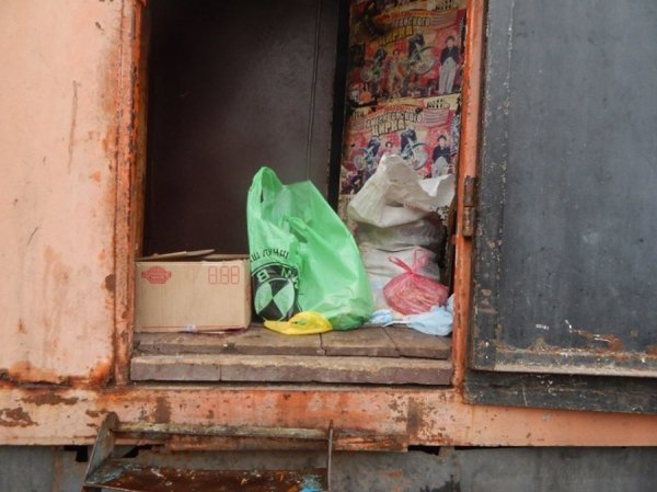 Ведмедів з пересувного звіринця на Рівненщині прихистив «Луцький зоопарк». ФОТО