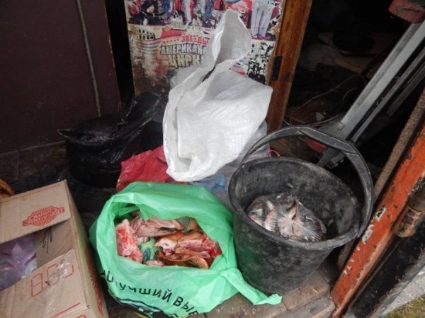 Ведмедів з пересувного звіринця на Рівненщині прихистив «Луцький зоопарк». ФОТО