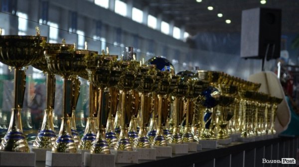 У Луцьку ‒ виставка собак. ФОТО