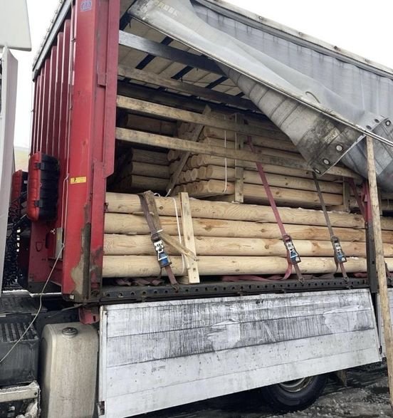 Через «Ягодин» намагались незаконно провезти майже 20 тонн деревини