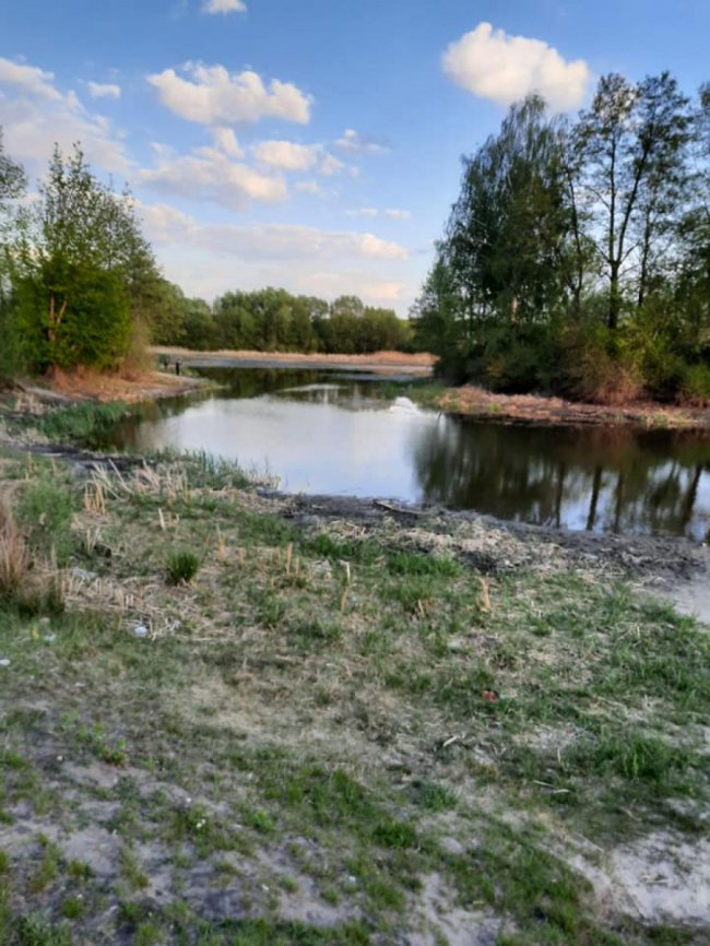 Купи сміття та обміління: показали, який вигляд має озеро у Ківерцях. ФОТО