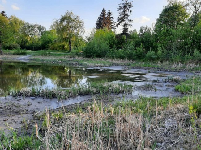 Купи сміття та обміління: показали, який вигляд має озеро у Ківерцях. ФОТО