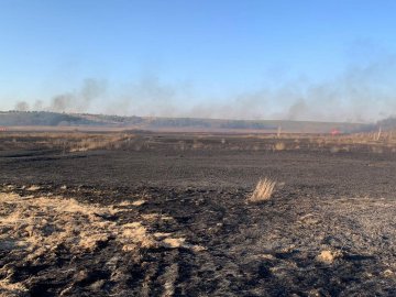 Затримали волинянина, через якого згоріли понад 100 га полів