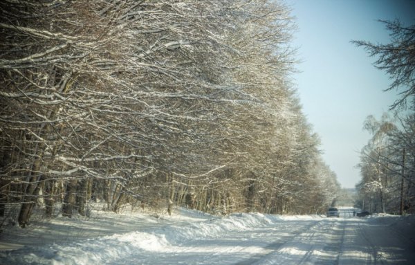 Волинське містечко перетворилося у засніжену казку