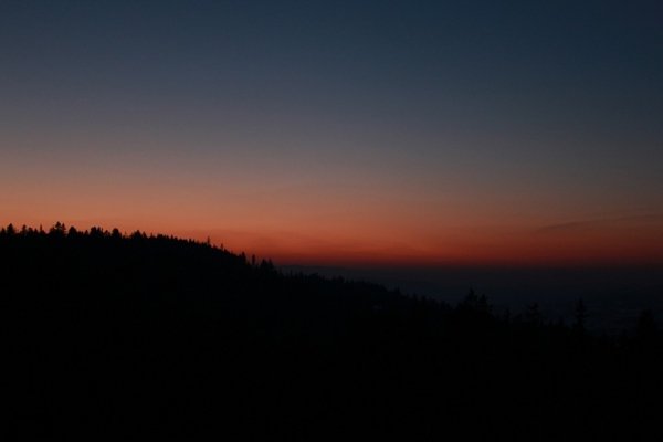 Фотовиставка Ольги Кошелєвої