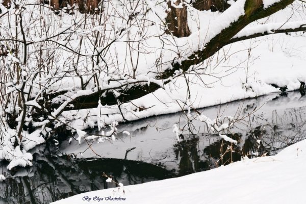 Фотовиставка Ольги Кошелєвої