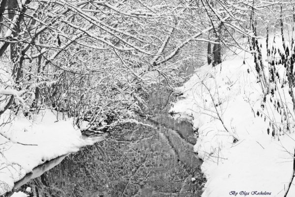 Фотовиставка Ольги Кошелєвої