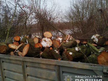 У селі на Волині затримали «чорних лісорубів». ФОТО