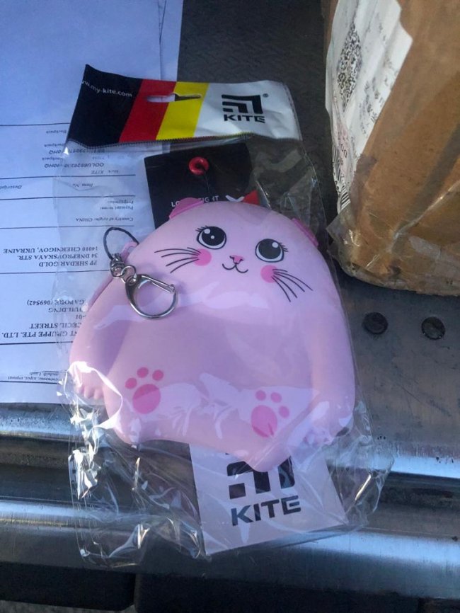 Через Волинь незаконно хотіли ввезти шкільне приладдя на понад мільйон гривень