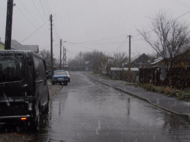 Мокрий і лапатий: на Волині - сніг. ФОТО