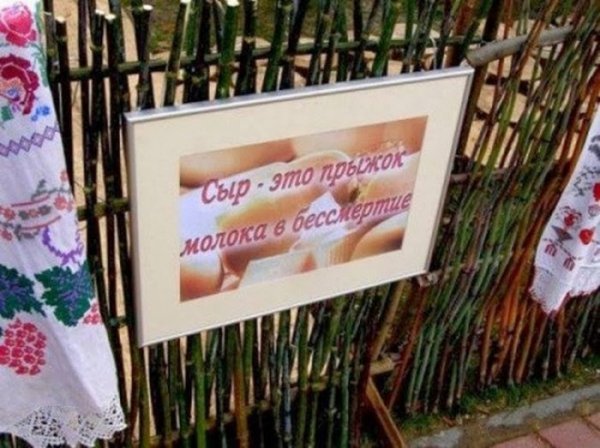 Кумедні надписи та оголошення. ФОТО