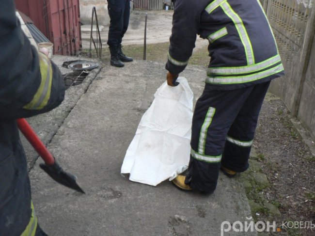 У місті на Волині  біля житлового будинку зловили чималого вужа. ФОТО