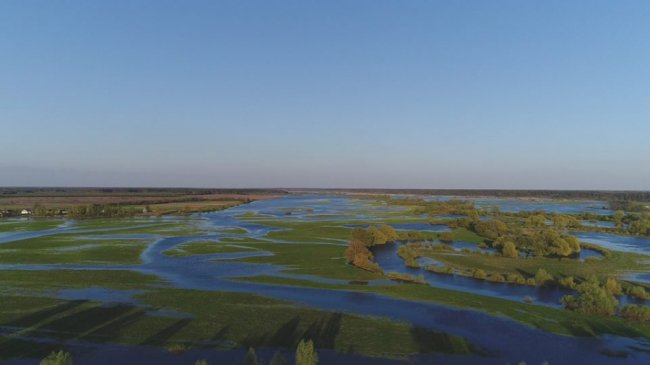 У селищі на Волині річка Стир вийшла з берегів. ФОТО