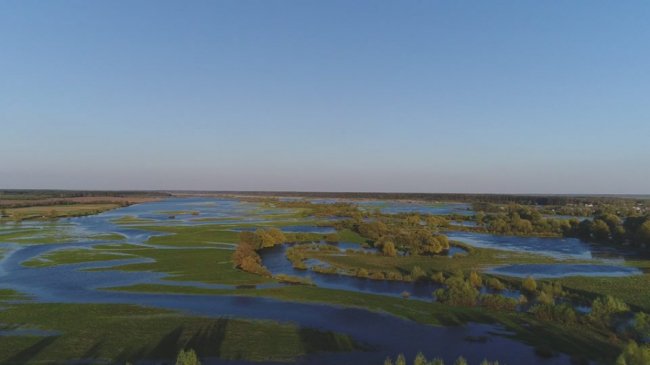 У селищі на Волині річка Стир вийшла з берегів. ФОТО