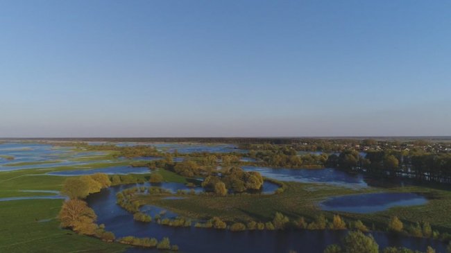 У селищі на Волині річка Стир вийшла з берегів. ФОТО
