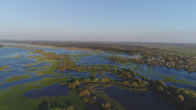 У селищі на Волині річка Стир вийшла з берегів. ФОТО