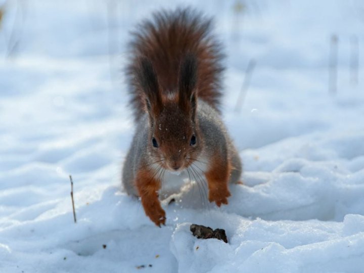 На Україну насувається найсильніше похолодання за 70 років: синоптик про погодні сюрпризи