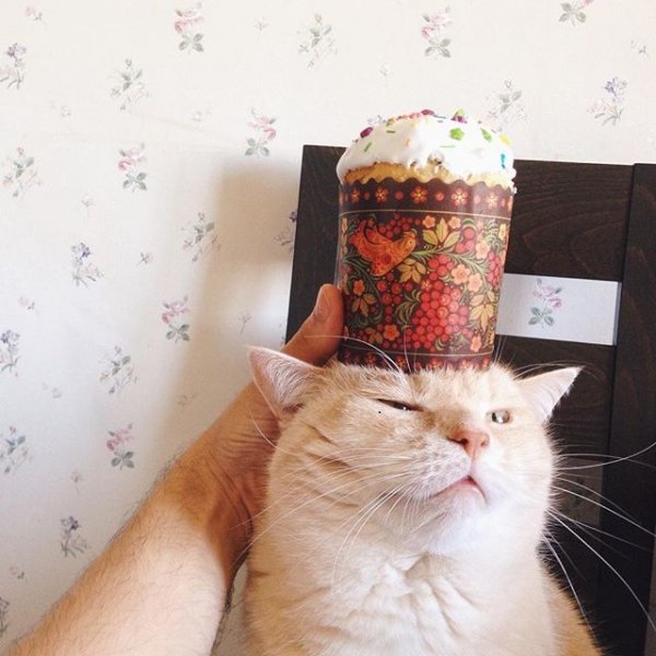 Великдень: активне святкування в соцмережі. ФОТО