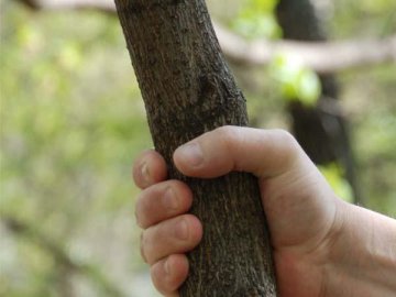 На Волині онук палицею сильно побив бабусю, пенсіонерка – у лікарні